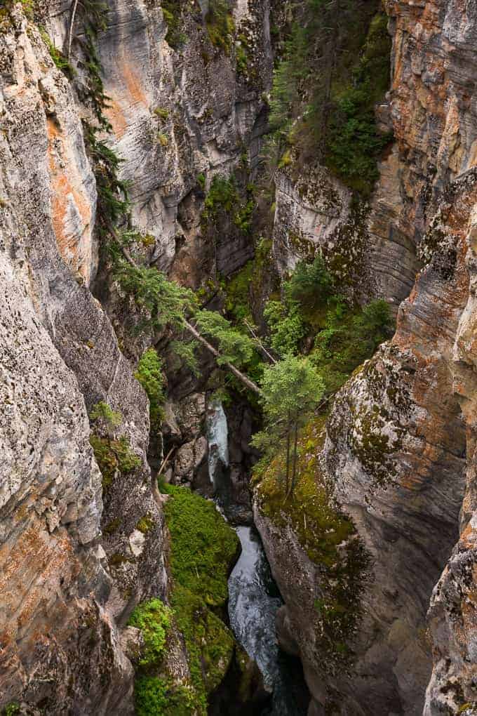 Maligne Canyon Loop Trail | Get Inspired Everyday!