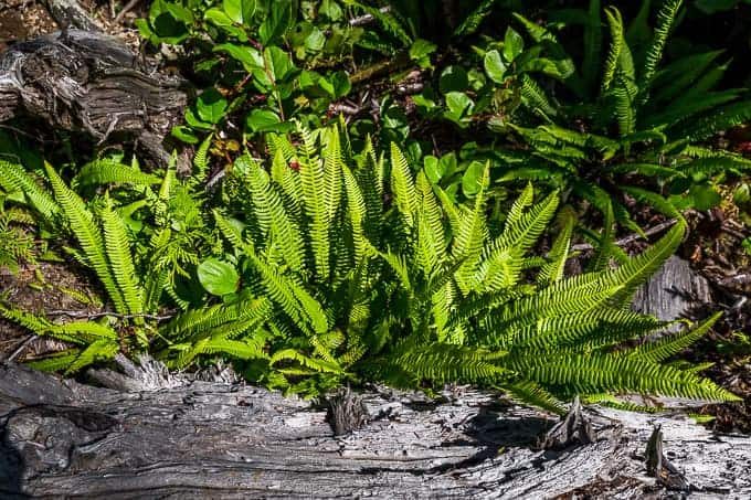 Tonquin Trail Beach Hike | Get Inspired Everyday!