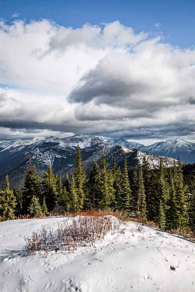 Scalplock Lookout in Glacier National Park | Get Inspired Everyday!