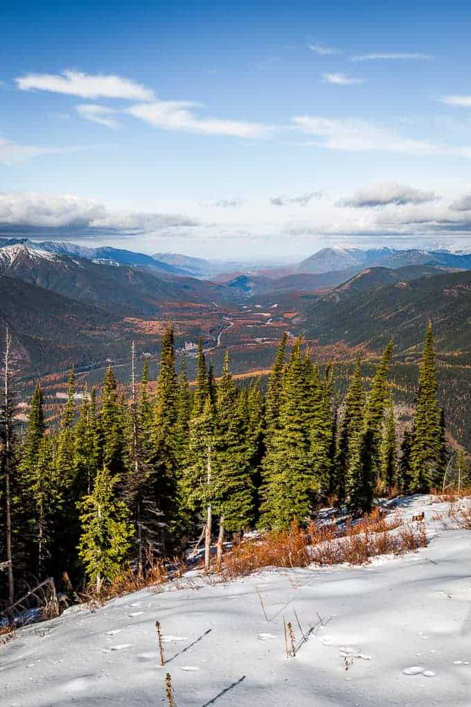 Scalplock Lookout in Glacier National Park | Get Inspired Everyday!