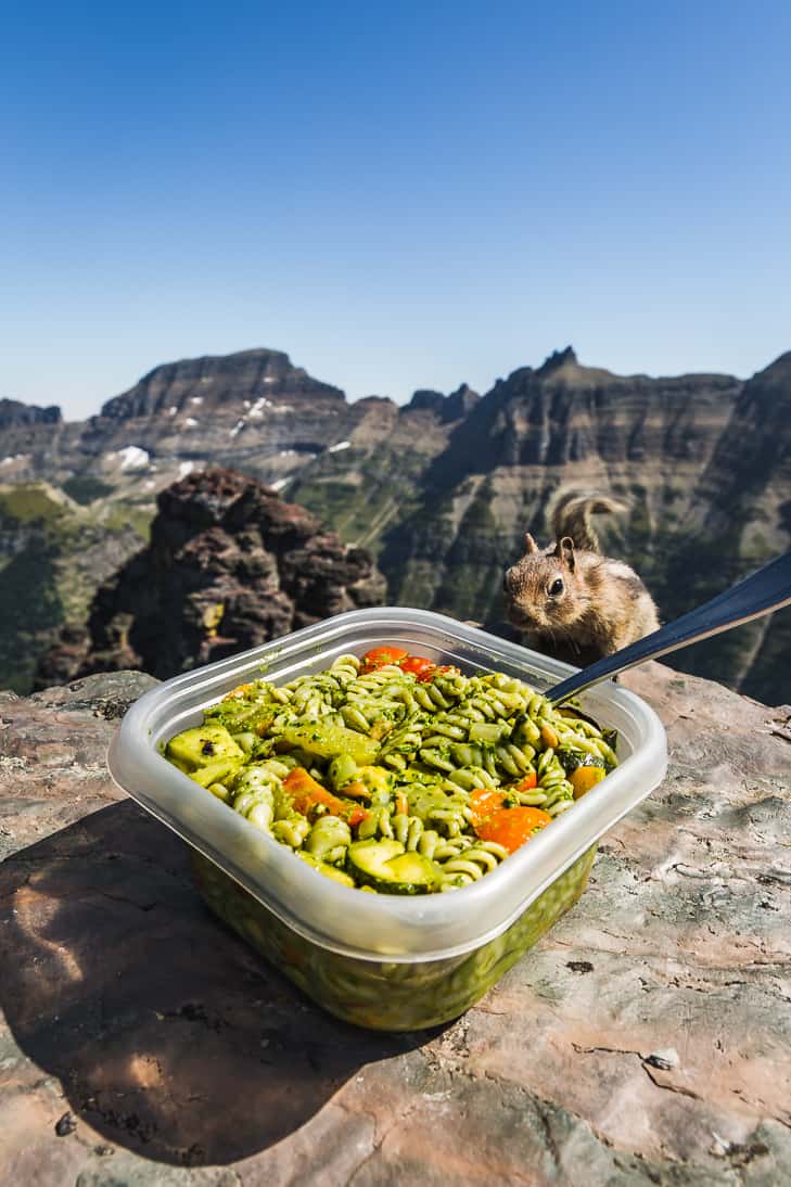 Pesto Pasta Salad on top of the world | Get Inspired Everyday!
