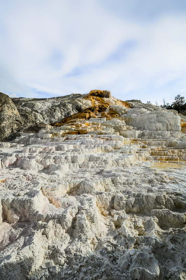 Mammoth Hot Springs is a great place to visit in Yellowstone!