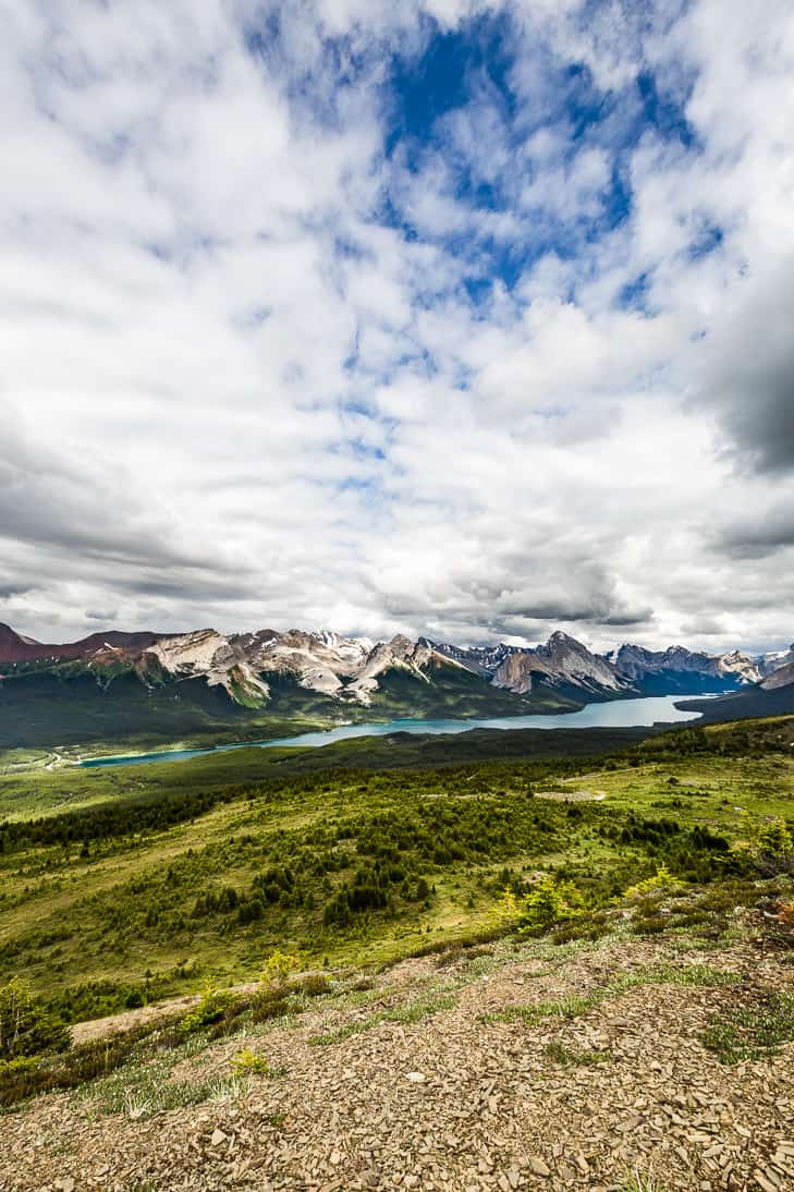 Hiking the Bald Hills in Jasper National Park!