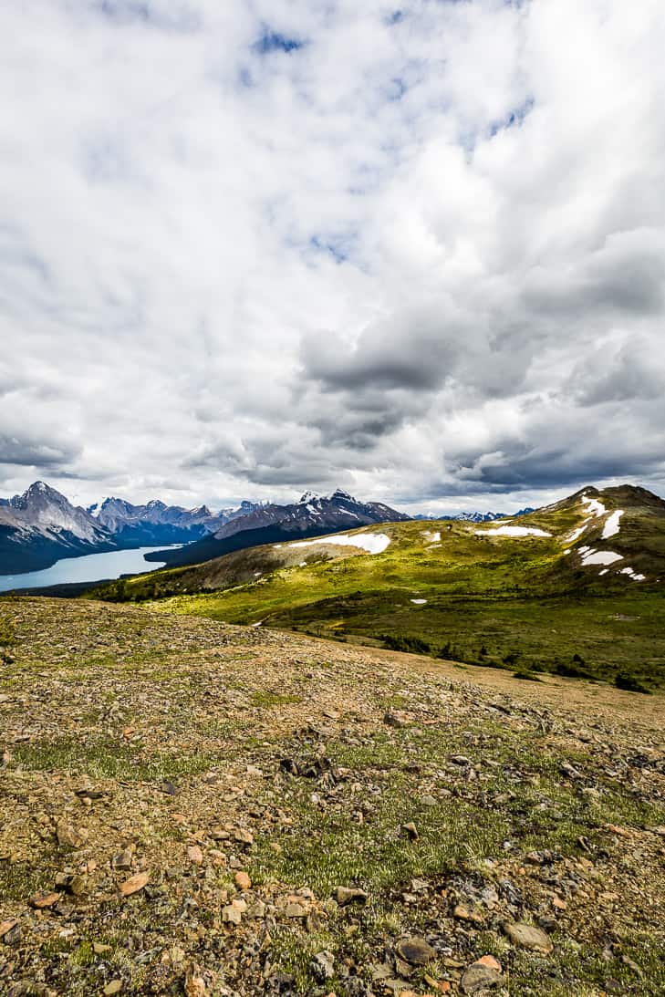 Bald Hills in Jasper National Park | Get Inspired Everyday!