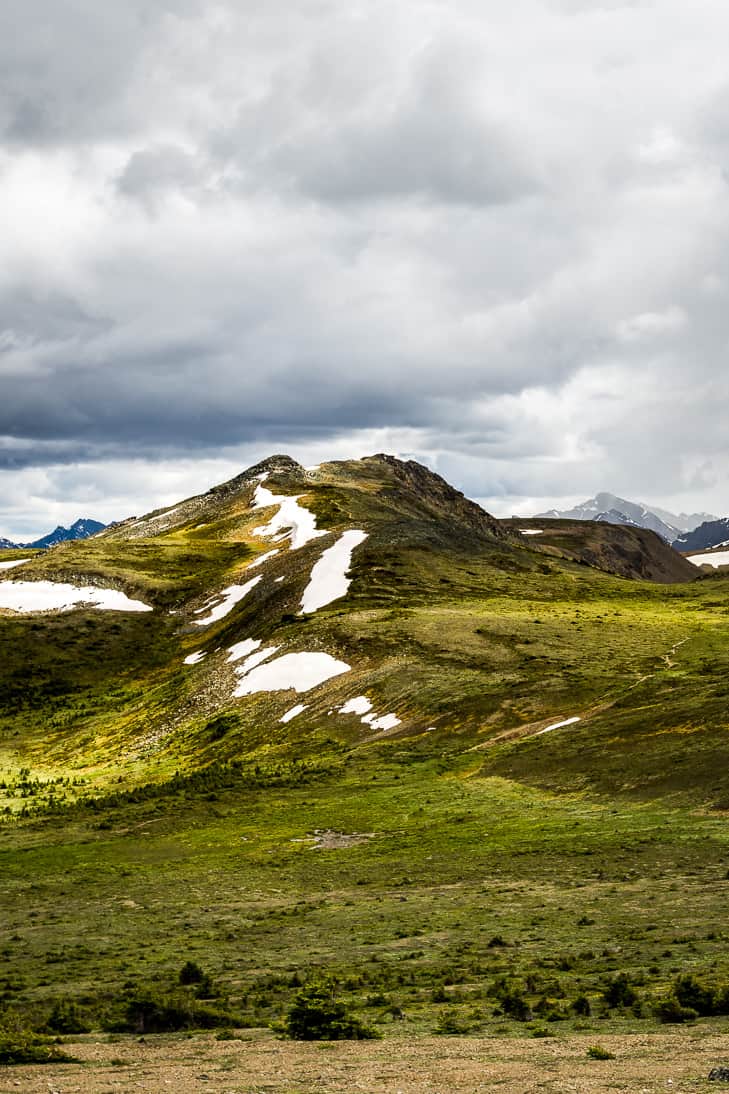 Hiking the Bald Hills above Maligne Lake!