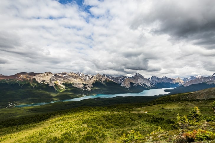 Bald Hills in Jasper National Park | Get Inspired Everyday!