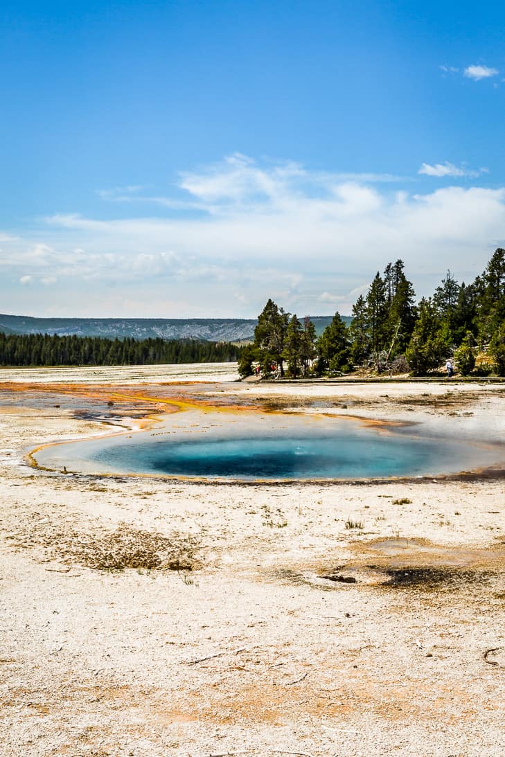 Hiking the Fountain Paint Pots Trail in Yellowstone National Park!
