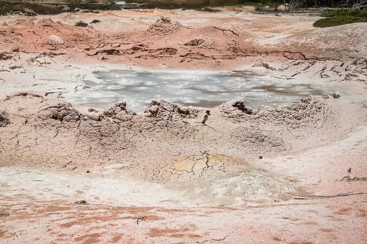 Fountain Paint Pots Trail in Yellowstone National Park | Get Inspired Everyday!