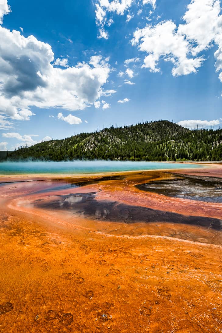 The stunning Grand Prismatic Geyser in Yellowstone National Park!
