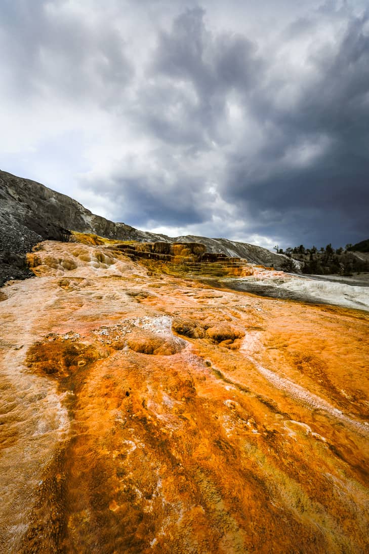 The scenery at Mammoth Hot Springs is beautiful and unreal!