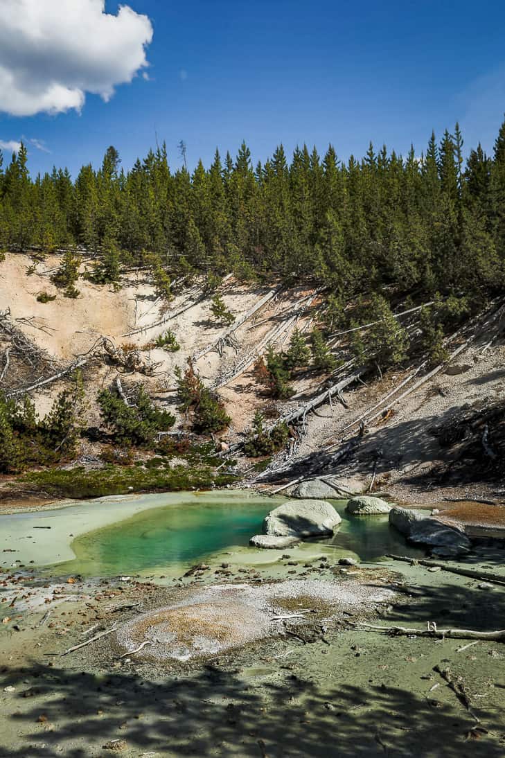 Norris Geyser Basin Loop in Yellowstone is a less traveled trail with loads to see!