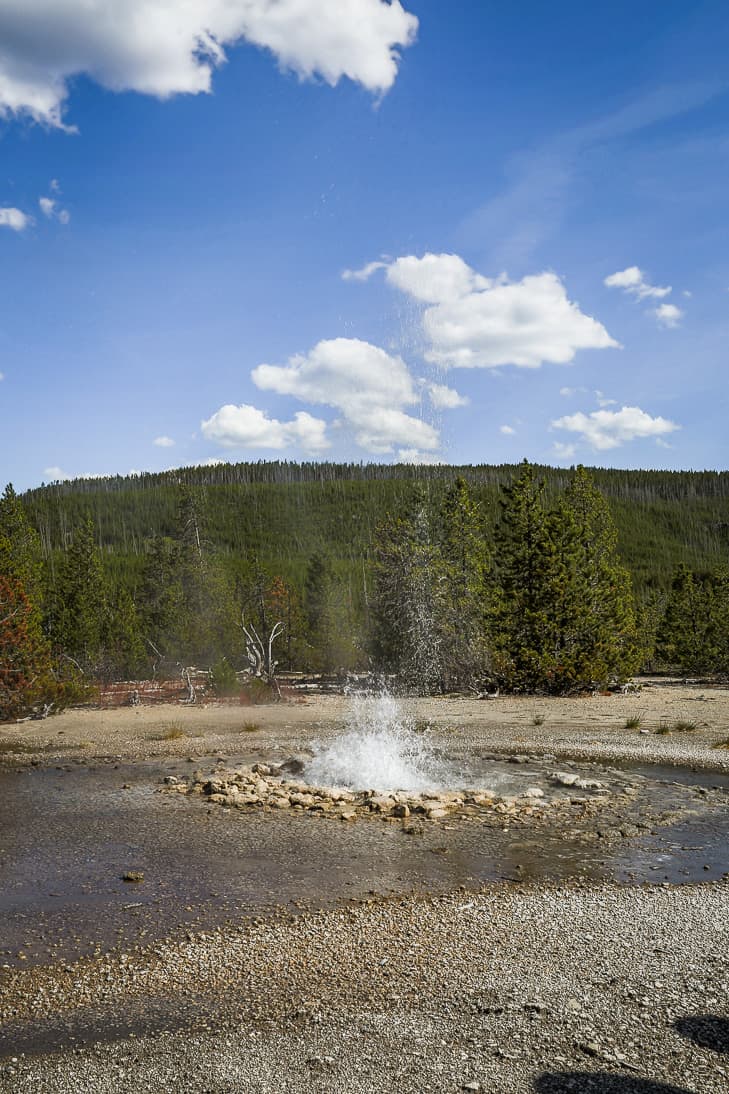 Norris Geyser Basin Loop | Get Inspired Everyday!