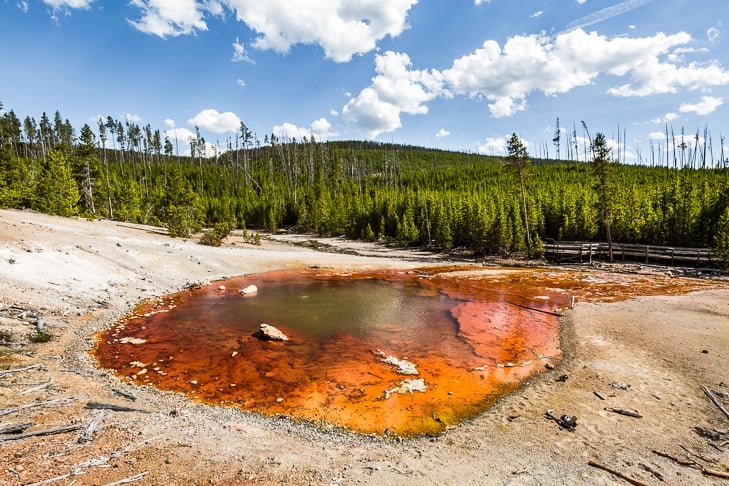 Norris Geyser Basin Loop | Get Inspired Everyday!