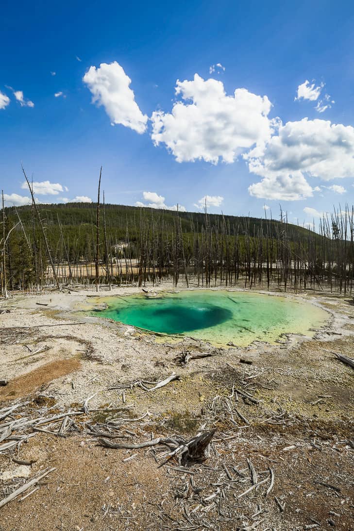 The types and colors of geysers really vary on the loop trails in Yellowstone National Park!