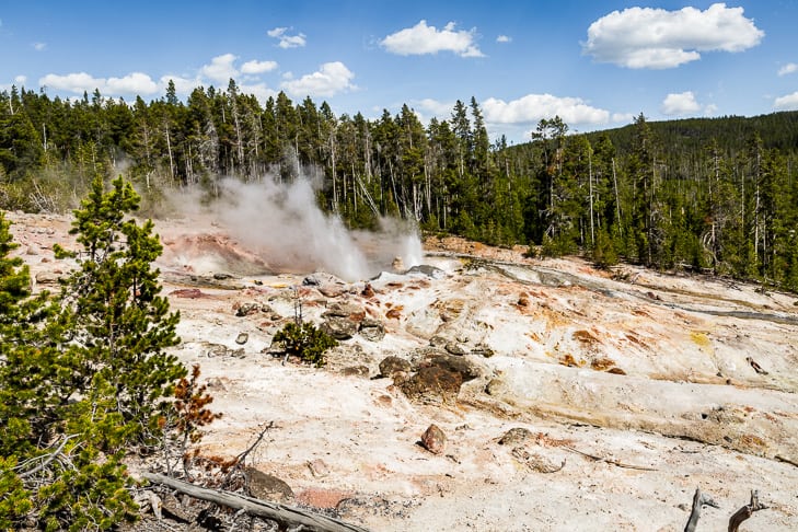 Norris Geyser Basin Loop | Get Inspired Everyday!