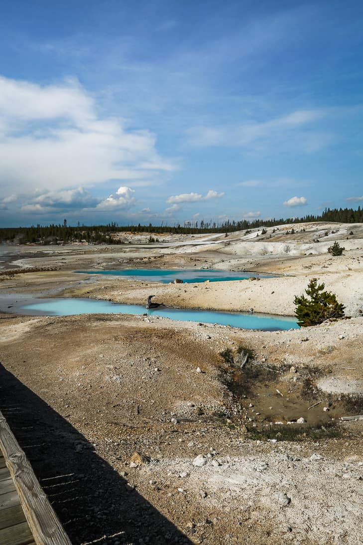 Porcelain Geyser Basin | Get Inspired Everyday!