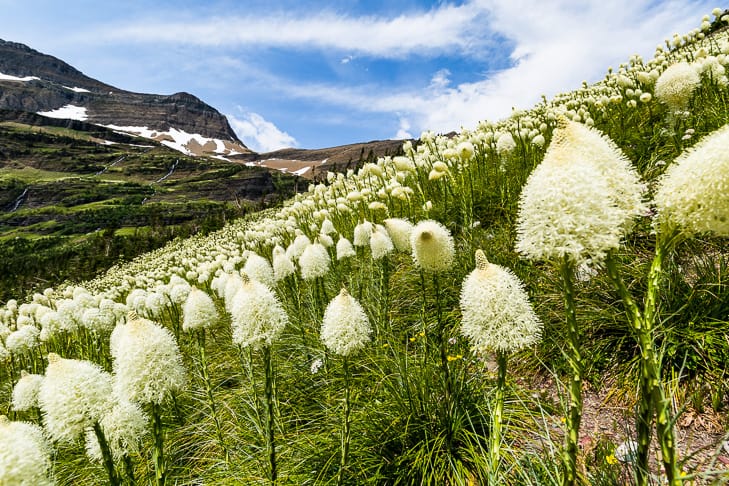 Top 10 Tips for Visiting Glacier National Park | Get Inspired Everyday!