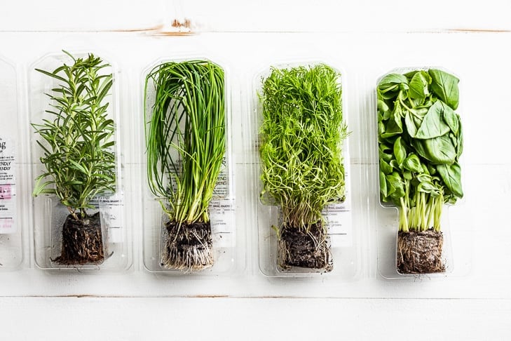 How to Store and Preserve Fresh Herbs - CNET