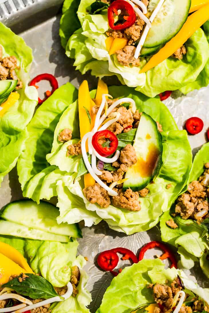 Thai Turkey Lettuce Wraps as one of the dinners in these 30 Recipes to Make for April.