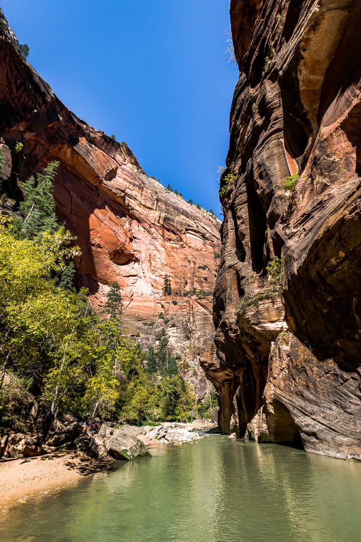 A view of the earlier section of The Narrows hike where the canyon is wider.