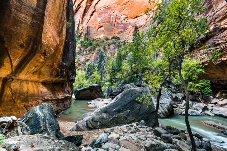 A view of where the canyon begins to narrow from the beginning of the hike through The Narrows.