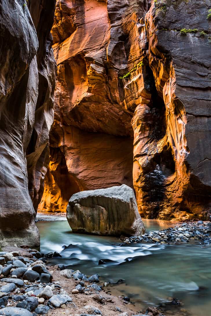 A vertical view of the deepest part of The Narrows in Zion National Park called 'Wall Street'.