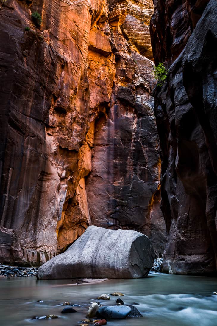 Deep into the 'Wall Street' section of The Narrows where the canyon walls turn vertical.