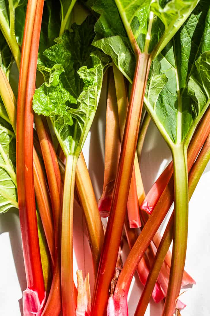 Stalks of rhubarb on a white background.