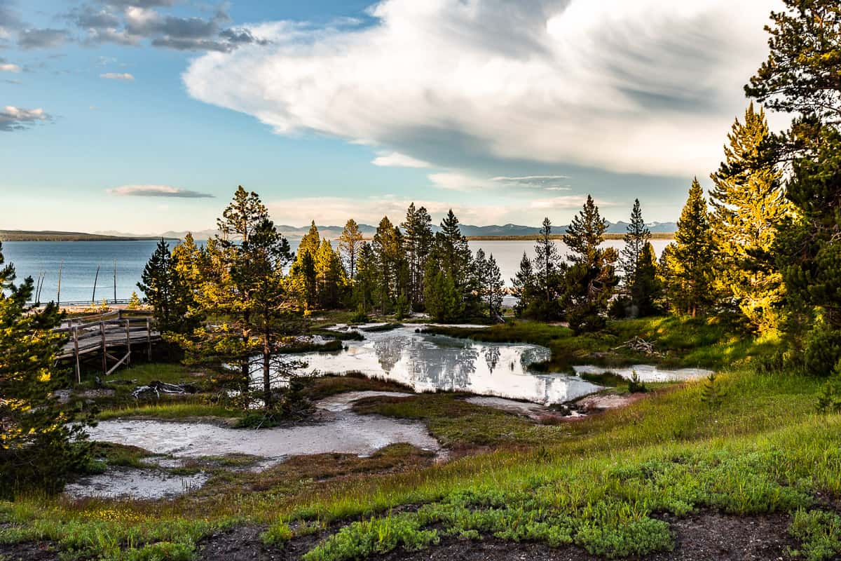 Looking at 2 white geysers with trees and Yellowstone Lake in the background.