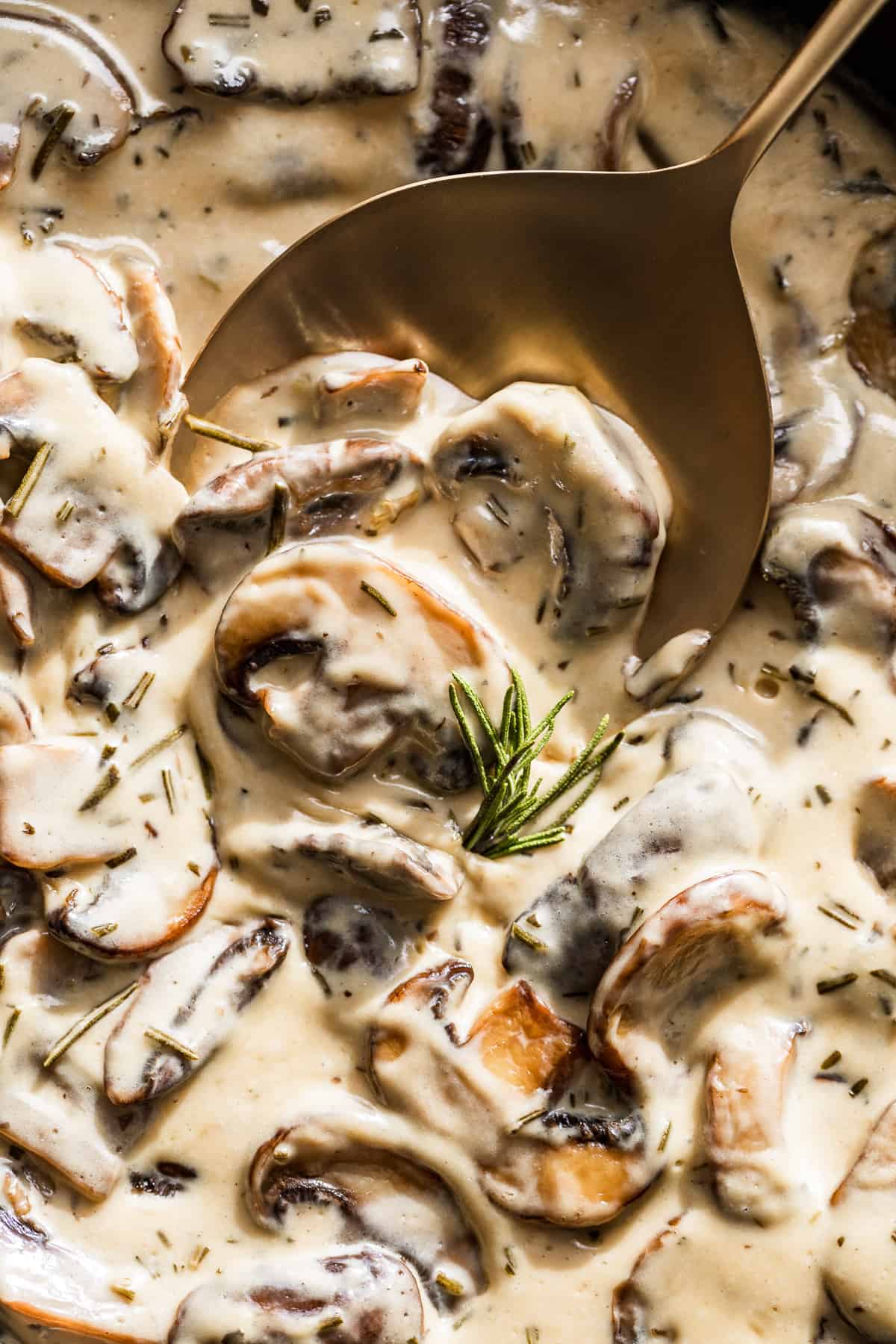 Close view of the Mushroom Cream Sauce with a gold spoon.