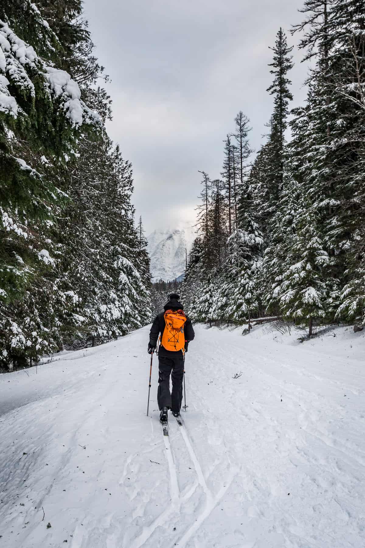 Man with an orange backpack cross country skiing.