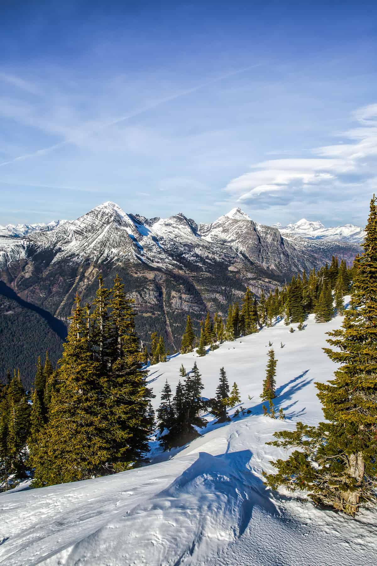 Mountain views with trees and snow in the foreground.