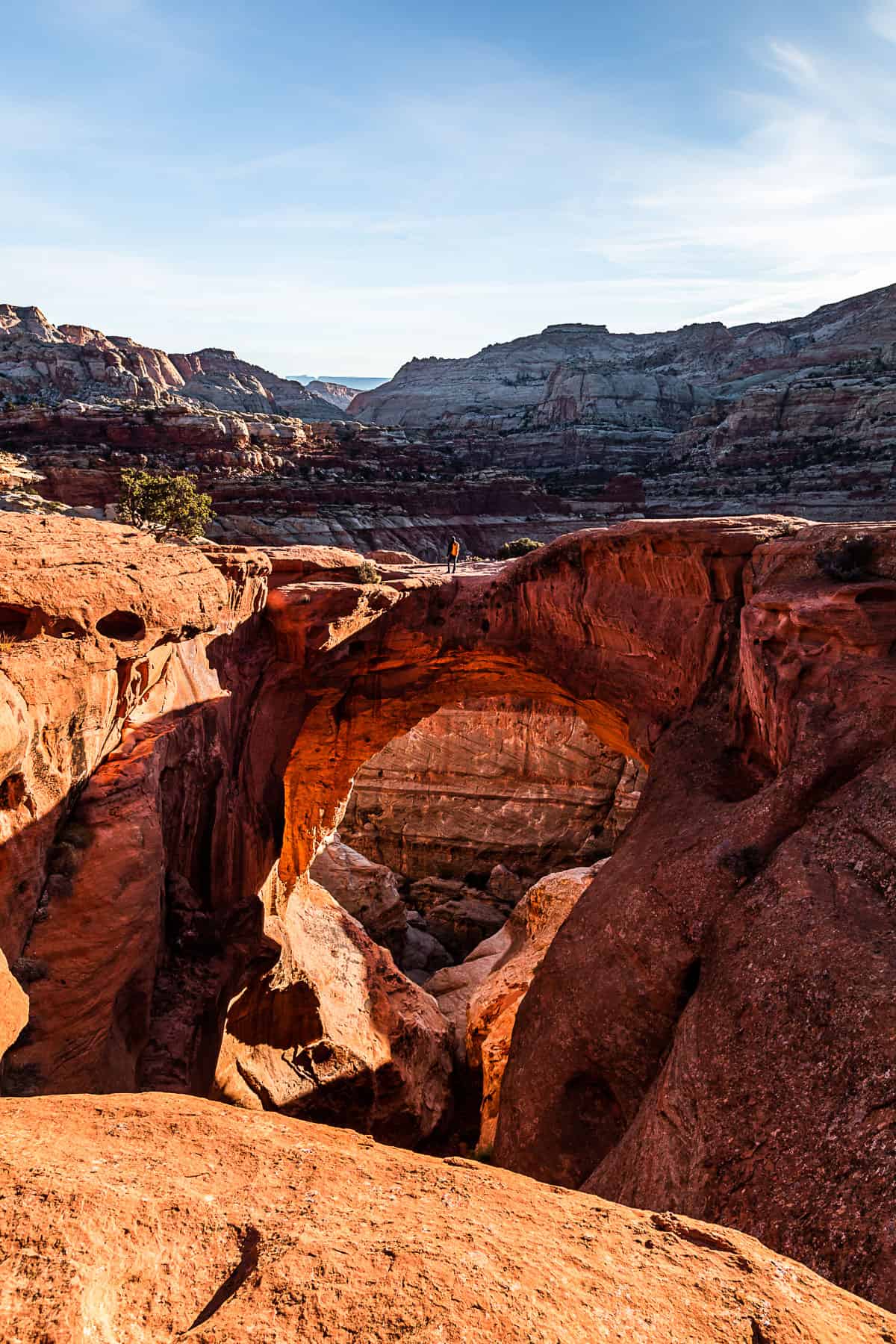 Kluisje raken achterstalligheid Cassidy Arch Trail in Capitol Reef National Park | Get Inspired Everyday!