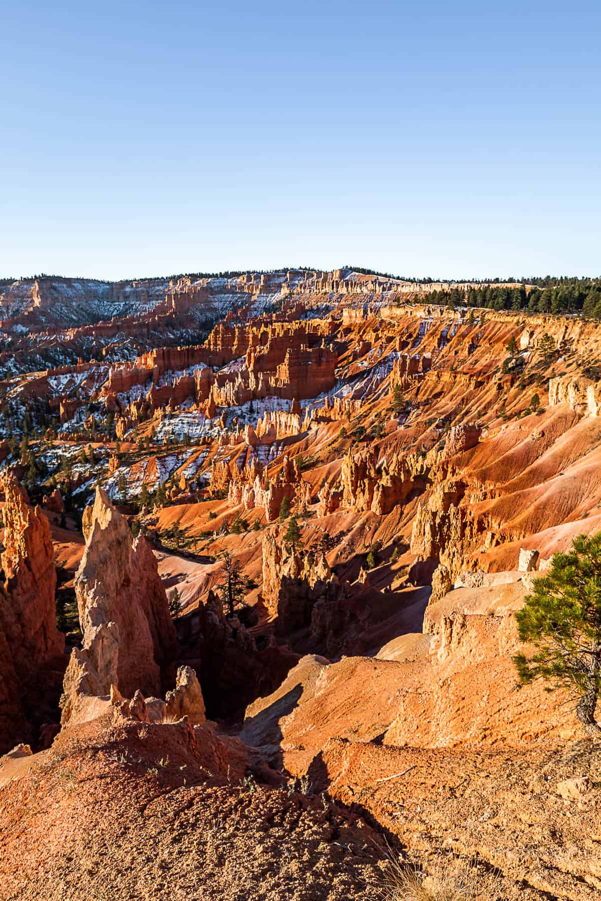 Views from the top of the rim of Bryce Canyon National Park overlooking the hoodoo formations at sunrise.