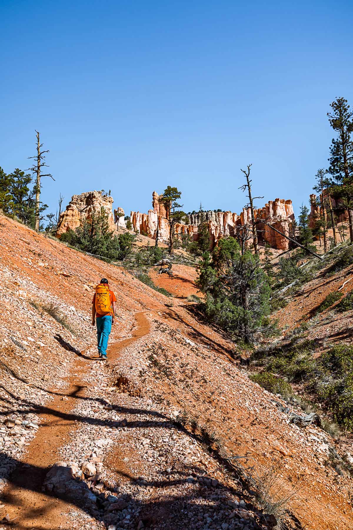 Man hiking uphill on an orange dirt trail with hoodoos and trees in the distance.