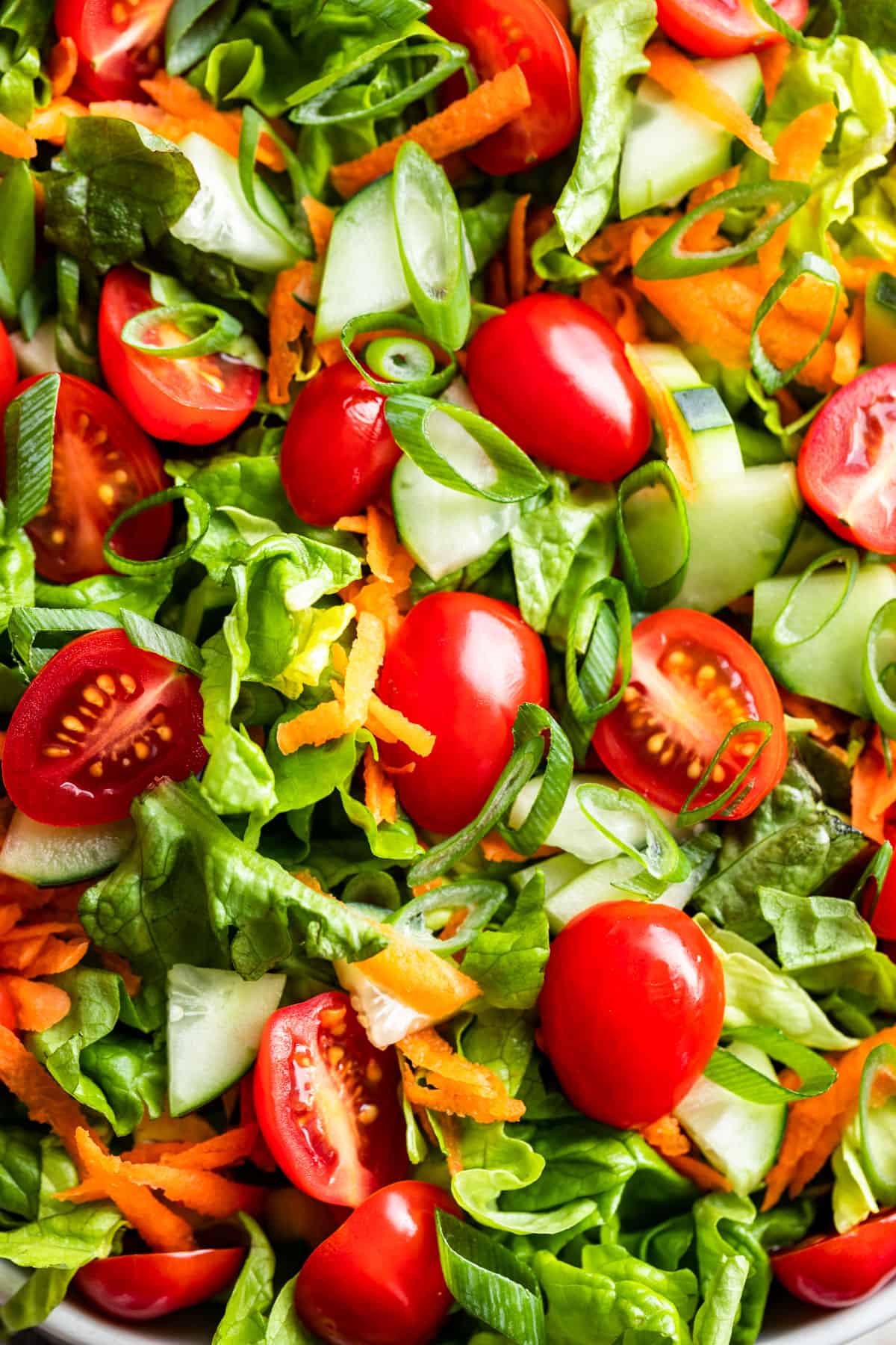 Close macro view of green salad with cherry tomatoes, cucumbers, and grated carrots up close.