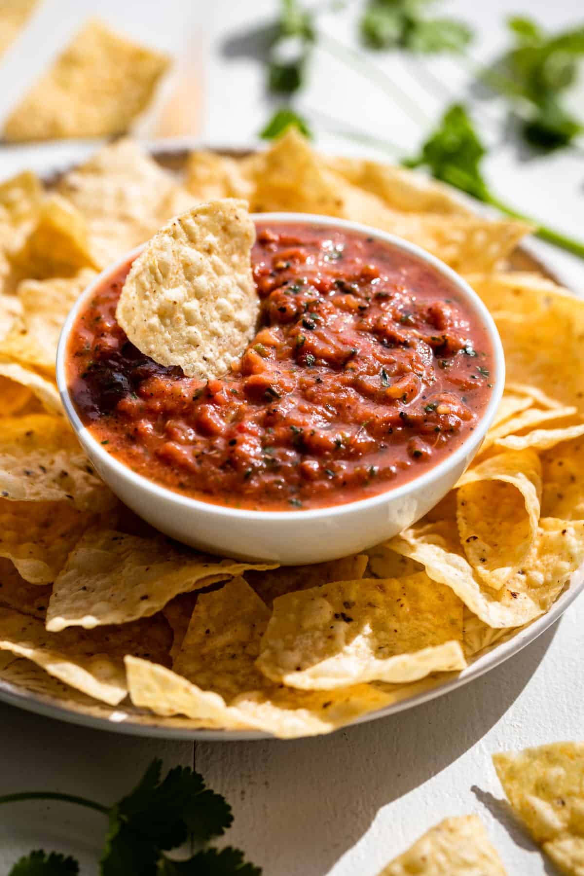 Salsa in a white bowl with chips surrounding it and cilantro in the background.