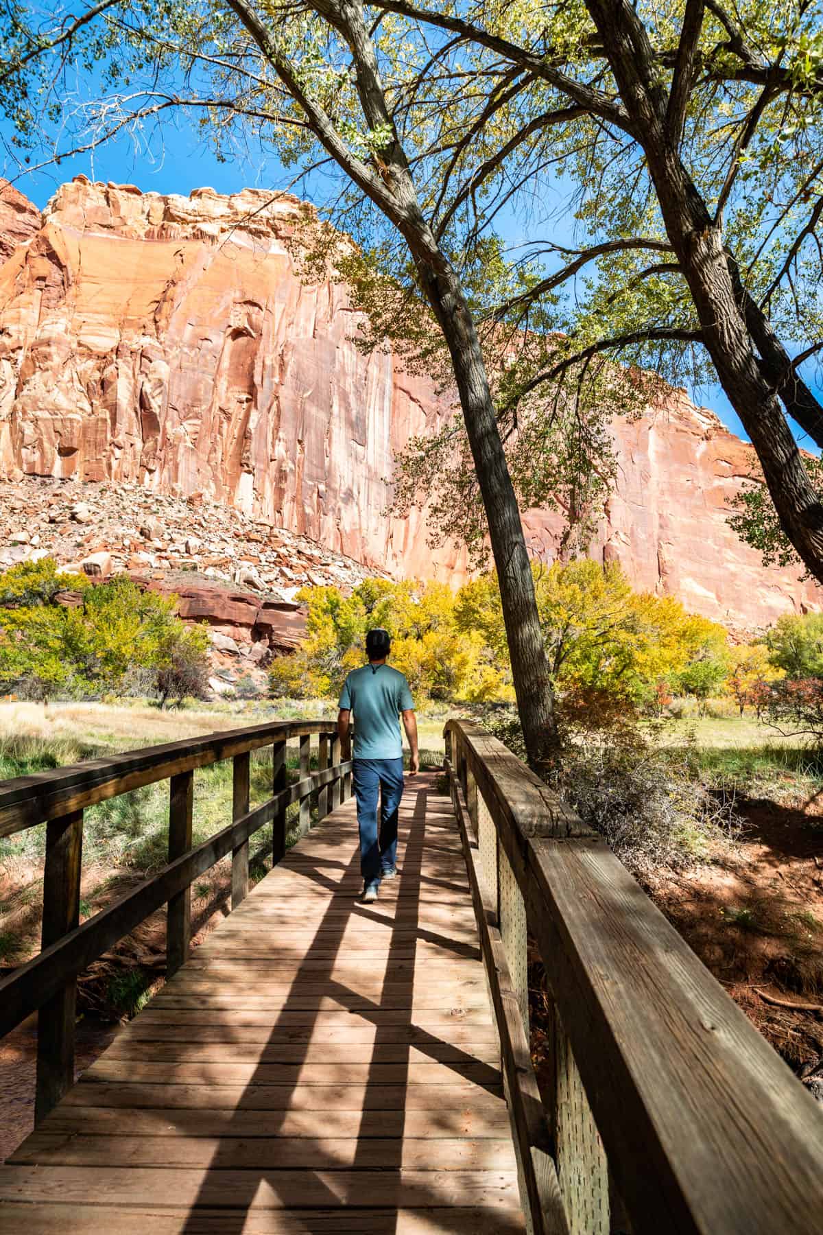 Man walking across a wooden bridge with trees overhead.