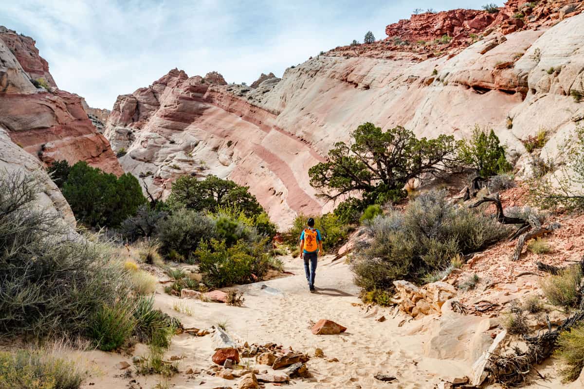 Man with an orange backpack entering Surprise Canyon with pink and white striped canyon walls.