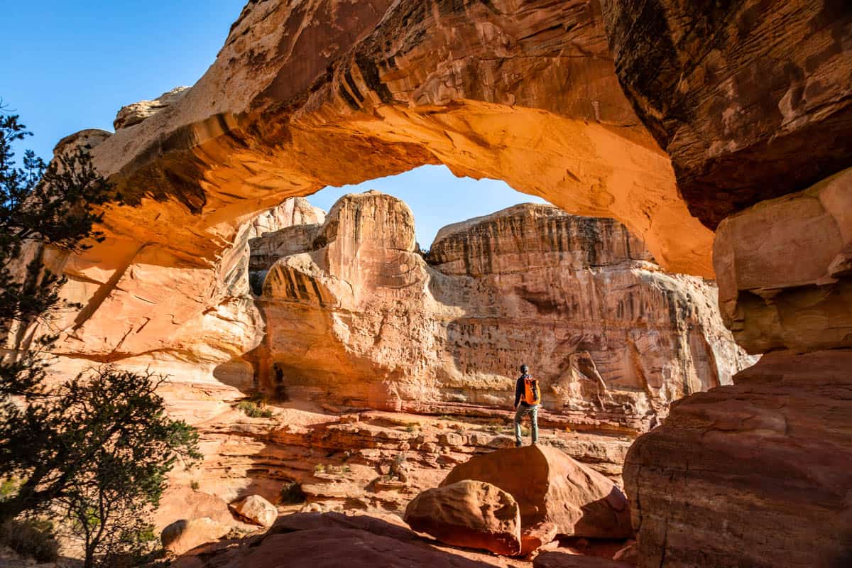 A man standing on a large rock underneath the Hickman Bridge in Capitol Reef National Park.