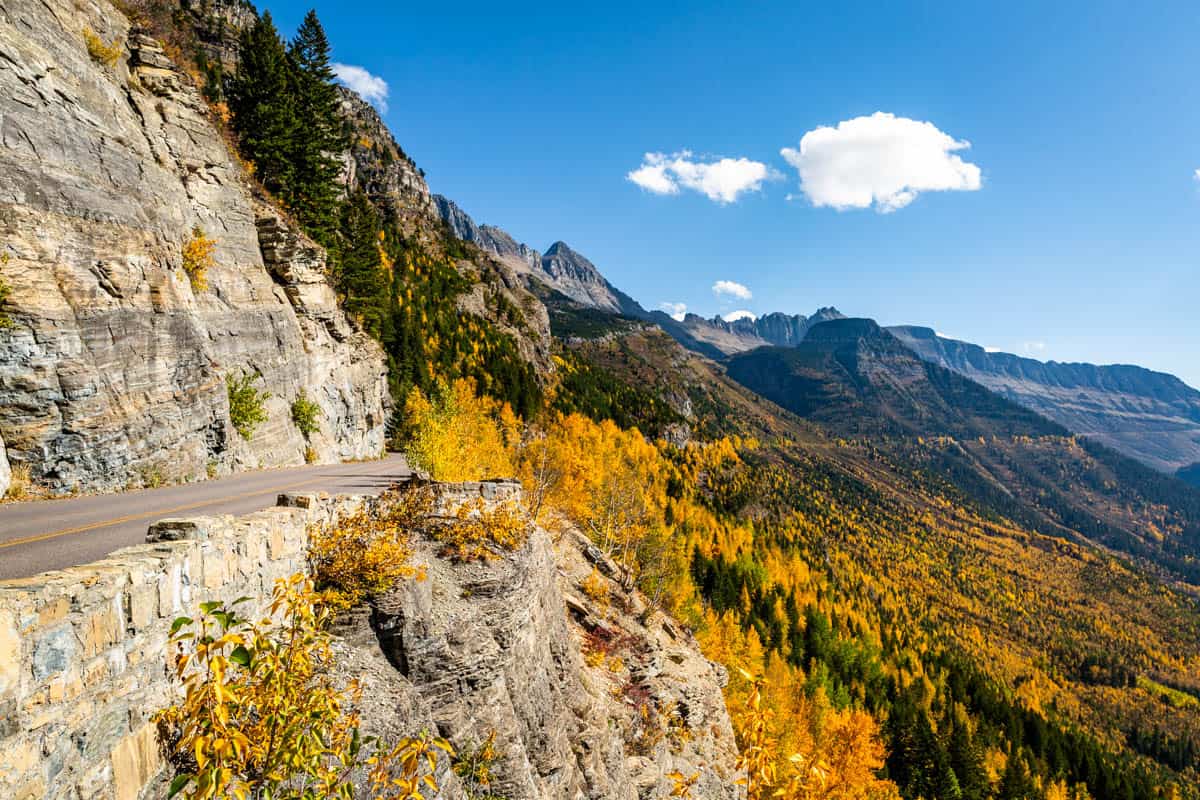 Fall color on the treed mountains on a pull-off on Going to the Sun Road.