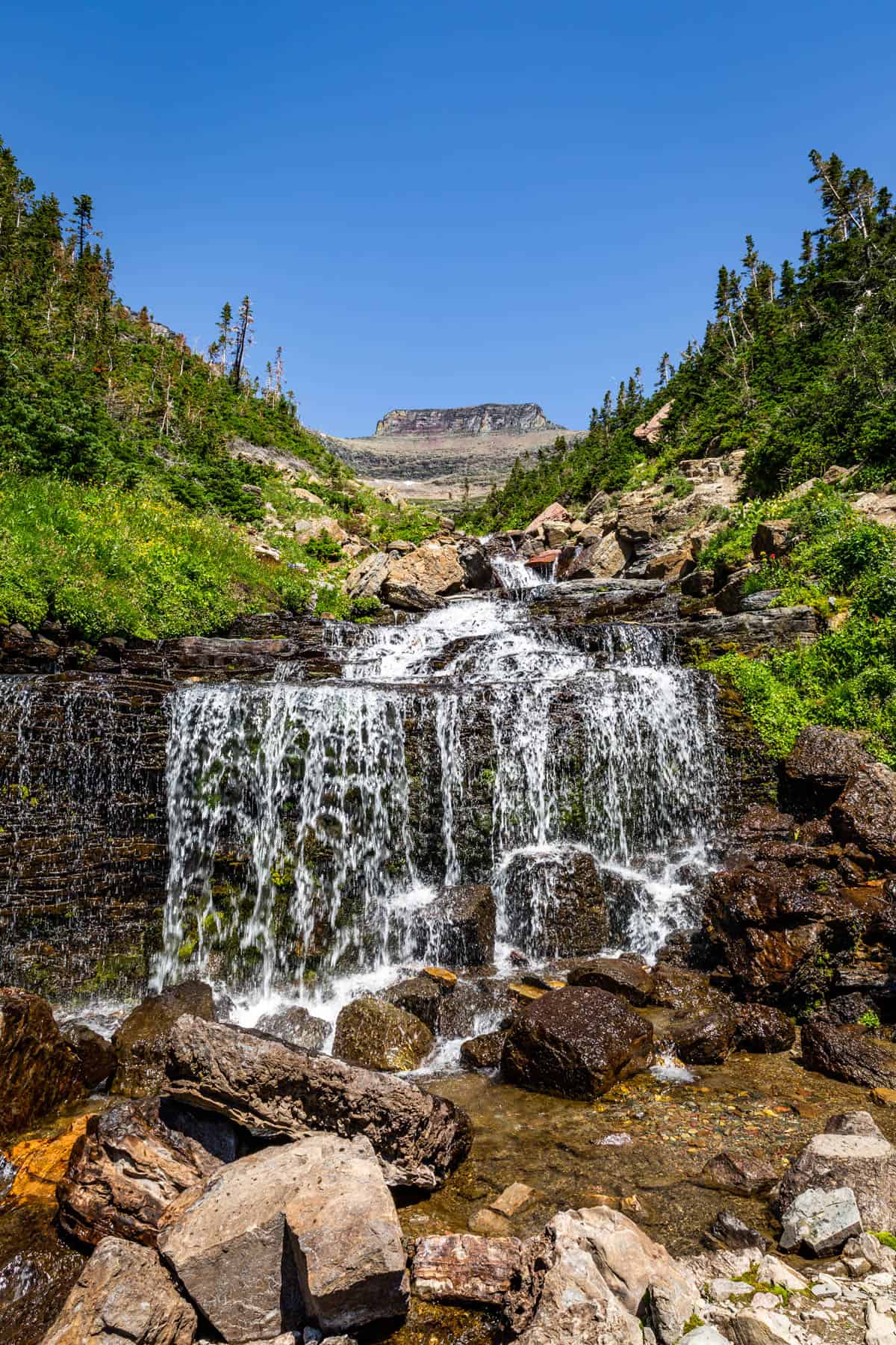 View of a small waterfall from the Lunch Creek pull off on Going to the Sun Road.