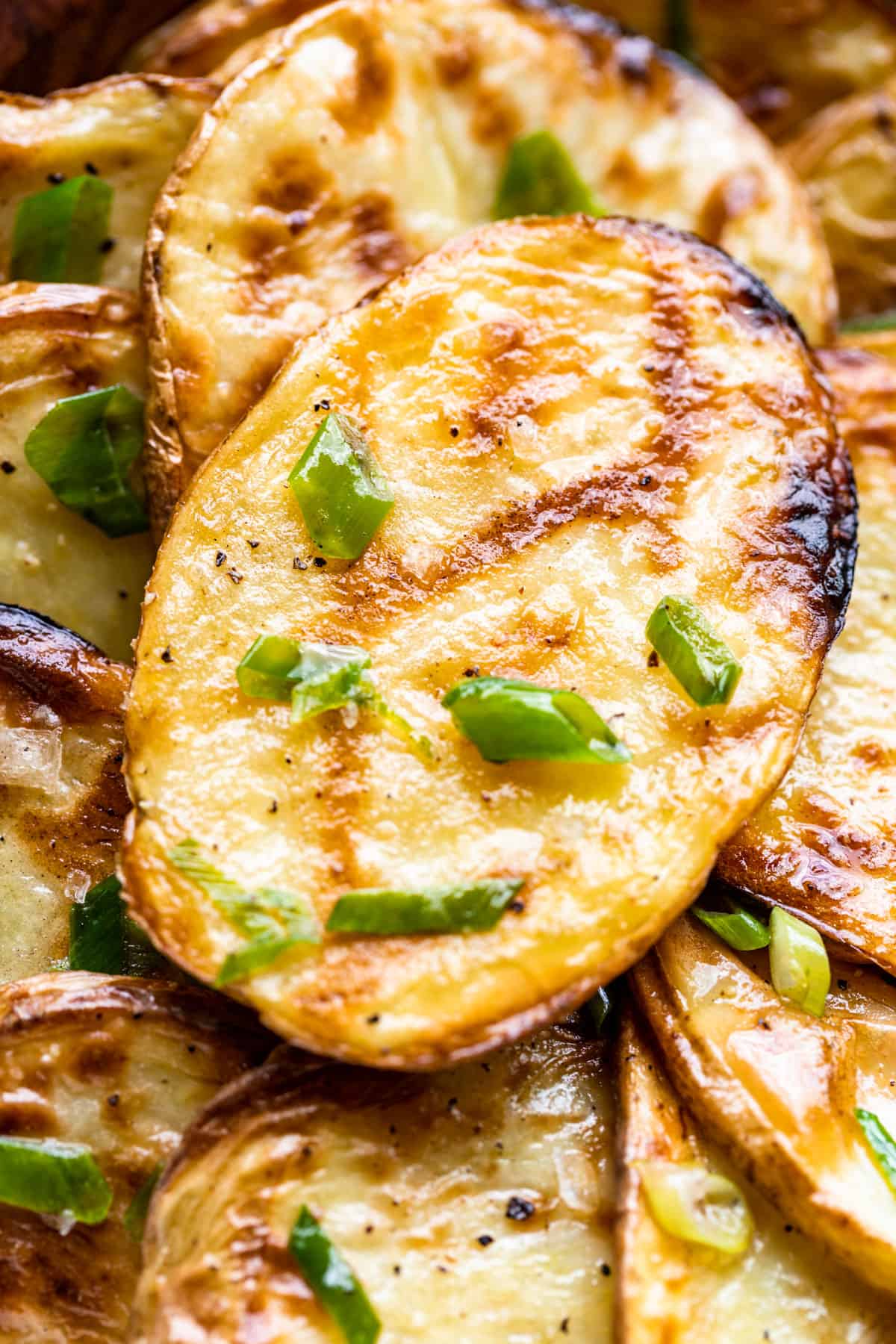 Close macro view of grilled sliced potatoes topped with green onions.