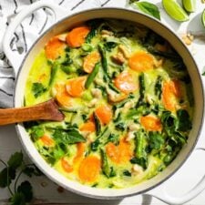 Straight down view of Thai Green Curry with a wooden ladle with lime wedges and cilantro sprigs on the side.