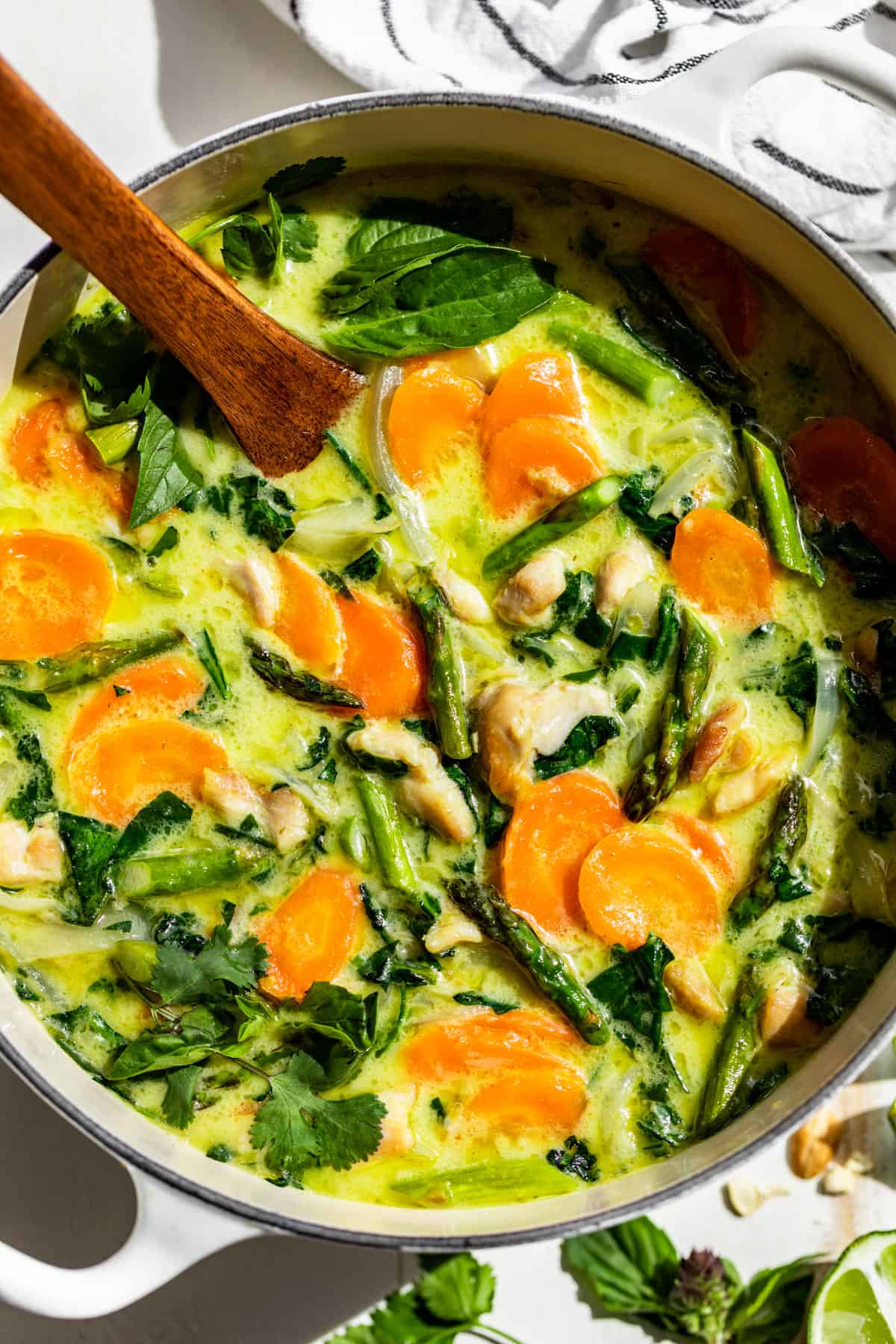 Close straight down view of Thai Green Curry in a large white pot.