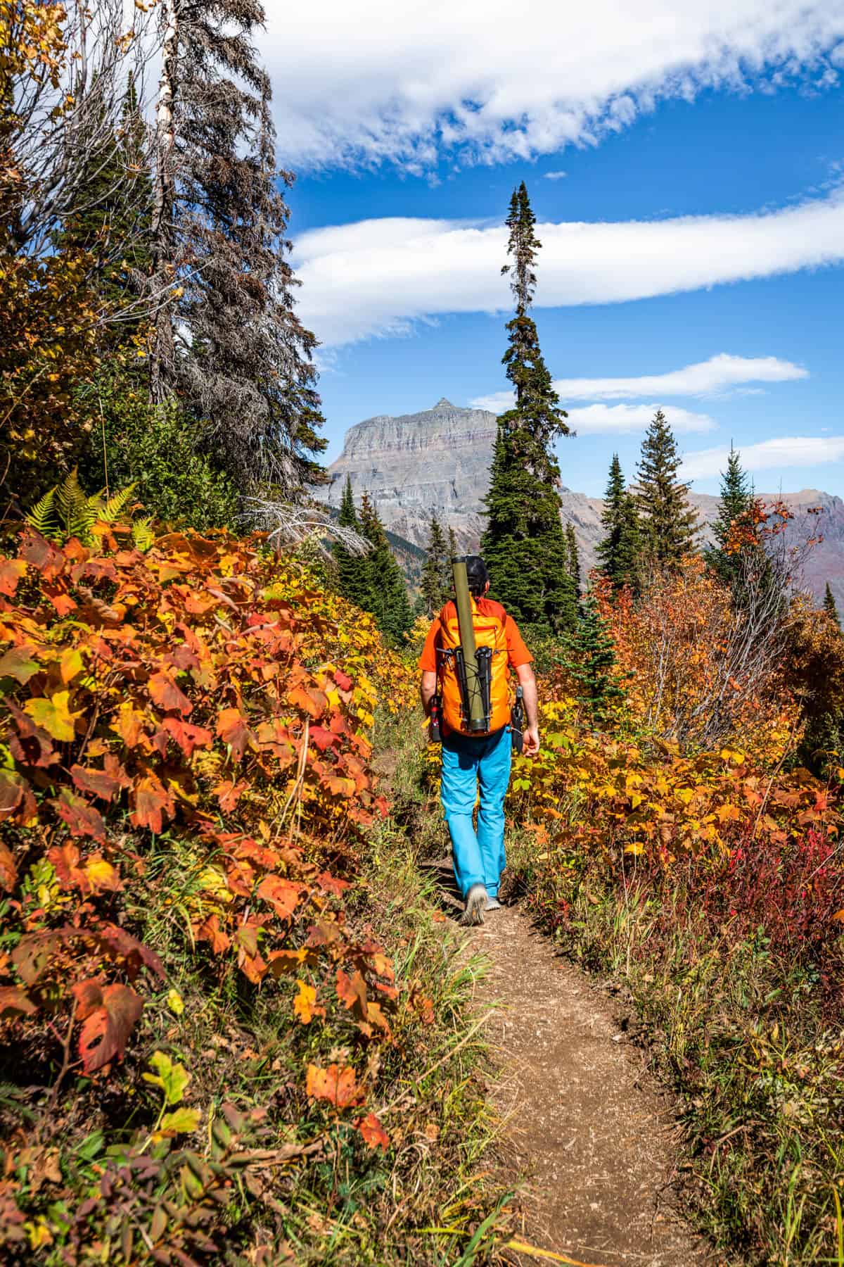 A man with an orange backpack hiking down a trail with orange and red fall foliage on either side and a mountain in the background.