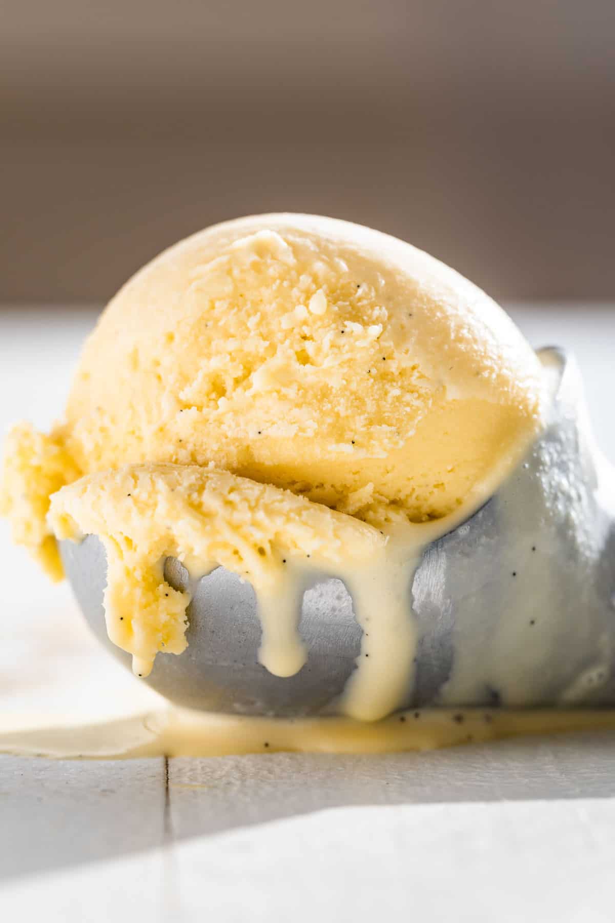 Close up side shot of a scoop of Vanilla Ice Cream in the metal scoop.
