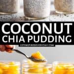 3rd Pin image for Coconut Chia Pudding.