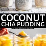 2nd Pin image for Coconut Chia Pudding.