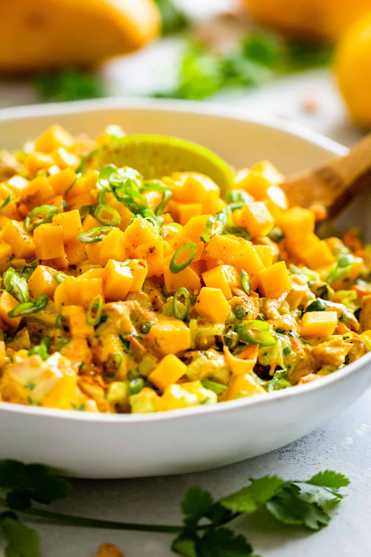 Close up macro view of Curried Chicken Salad topped with mango in a white bowl.